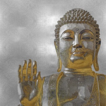 Tom Bray - Silver and Gold Buddha