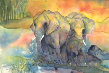 Chris Paschke - Elephants Crop