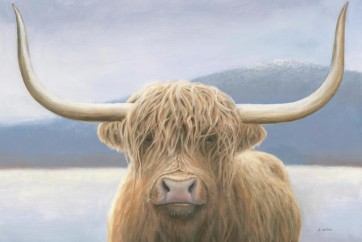 Jamew Wiens - Highland Cow and The Mountain