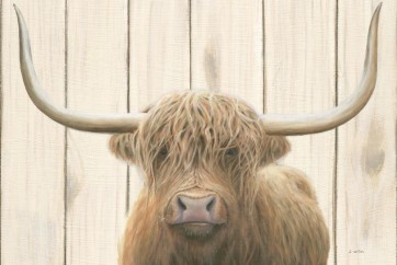 Jamew Wiens - Highland Cow and The Barn
