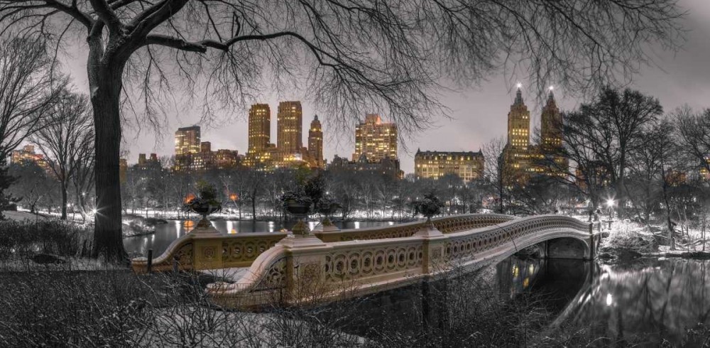 Assaf Frank - Central park Manhattan skyline
