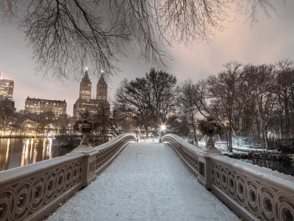 Assaf Frank - Central park with Manhattan skyline
