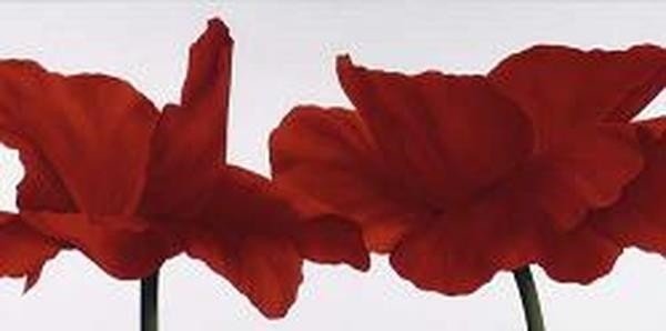 Red painted flowers