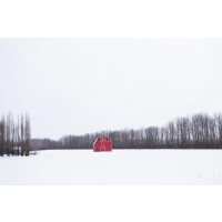 Codey Wicks - Winter - Lone Red Barn I