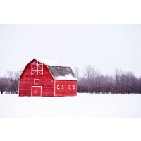 Codey Wicks - Winter - Lone Red Barn II