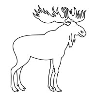 Line Art - Moose - Sketch