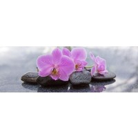 Omar Olavie - Pink Orchid with Black Stones