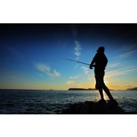Leslie Walters - Sports Silhouettes - Fishing