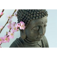 Erin Gunne - Meditating - Buddha