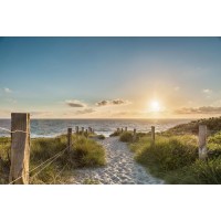 Lidia Maine - Beach Path