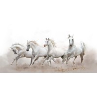 Horses - Morning Run