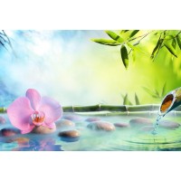 Omar Olavie - Zen Scene Featuring Orchid and Bamboo fountain