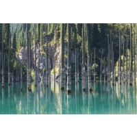 British Columbia - Flooded Forest by the Mountain