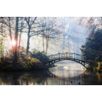 Joey Joe - Autumn - Old Bridge in Autumn Misty Park - Sunset