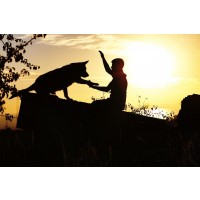 Leslie Walters - Silhouettes - Dog and Master