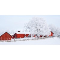 Codey Wicks - Winter - Red House Village III