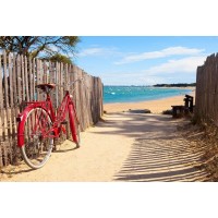 Luis Bond - Path to the Beach - Bicycle