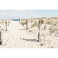 Luis Bond - Path to the Beach - Dune