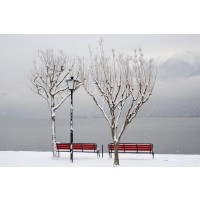 Dylis Bevan - Winter - Red Bench - Invitation