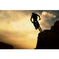 Leslie Walters - Sports Silhouettes - Mountain Biking - BMX