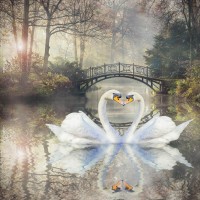Joey Joe - Autumn - Swans Ahead of Old Bridge in Autumn Misty Park