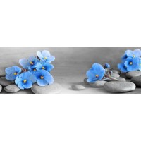 Omar Olavie - Zen Stones With Blue Flowers and Butterfly