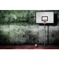 Lessandre Collection - Basketball - Hoop