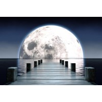 Liza Narayan - Full Moon - Jetty View