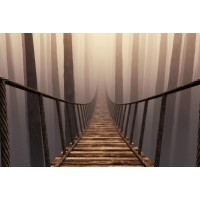 Frank Morse - Rope Bridge - Misty Day