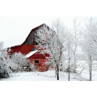 Codey Wicks - Winter - Lone Red Barn in the Forest V