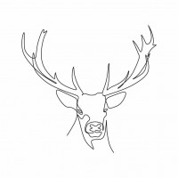 Line Art - Deer - Showing His Beautiful Antlers