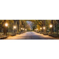 New York - Central Park - Night Out