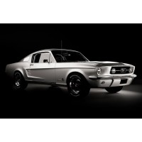 Ford Mustang - 1967 Retro Sport