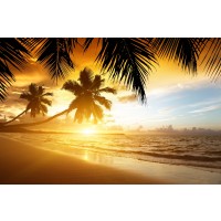 Ann Gavril - Tropical Beach Sunset In Thailand