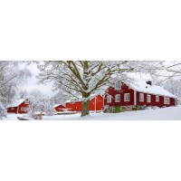 Codey Wicks - Winter - Red House Village