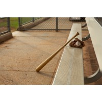 Lessandre Collection - Baseball bat - Glove