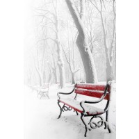 Dylis Bevan - Winter - Red Bench - Wet Butt
