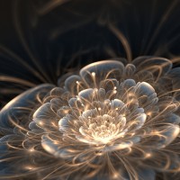 Mystical Light Flower