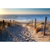 Luis Bond - Path to the Beach Sunset