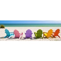 Dolores Flowers - Beach - Rainbow Chairs