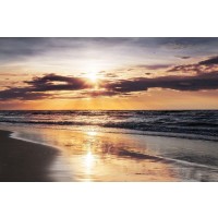 Ann Gavril - Tropical Beach - Wish You Were Here