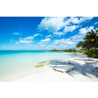 Beach - Turquoise Paradise