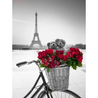 Assaf Frank - Teddy Bears and bunch of red roses on bicycle with Eiffel tower in the background