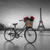 Assaf Frank - A bicycle with a basket of flowers with the Eiffel tower in the background