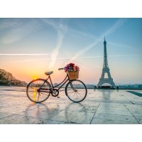 Assaf Frank - Bicycle and Eiffel tower
