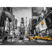 Assaf Frank - Traffic signal on broadway Times Square, Manhattan, New York City
