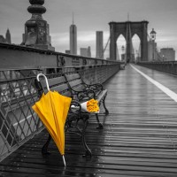 Assaf Frank - Yellow umbrella and bunch of roses on bench on pedestrian pathway, Brooklyn bridge, New York