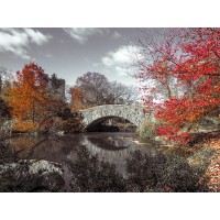 Assaf Frank - Gapstow bridge in the Autumn, Central park, New York