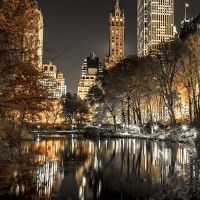 Assaf Frank - Evening view of Central Park in New York City