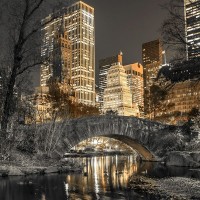 Assaf Frank - Evening view of Central Park in New York City